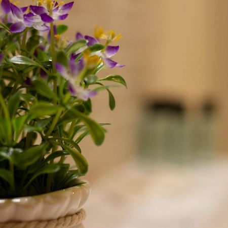Suite Corallo - Smart Holiday Mantova Bagian luar foto