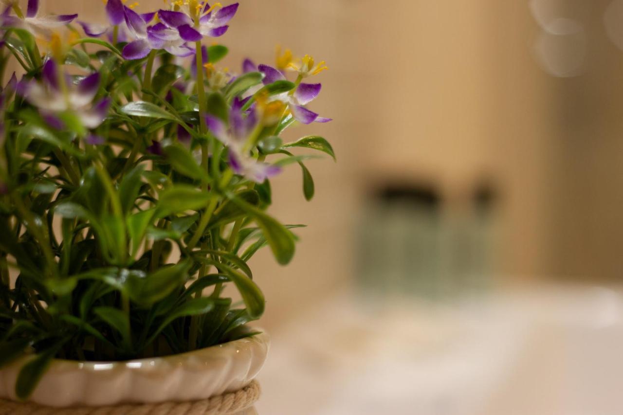 Suite Corallo - Smart Holiday Mantova Bagian luar foto